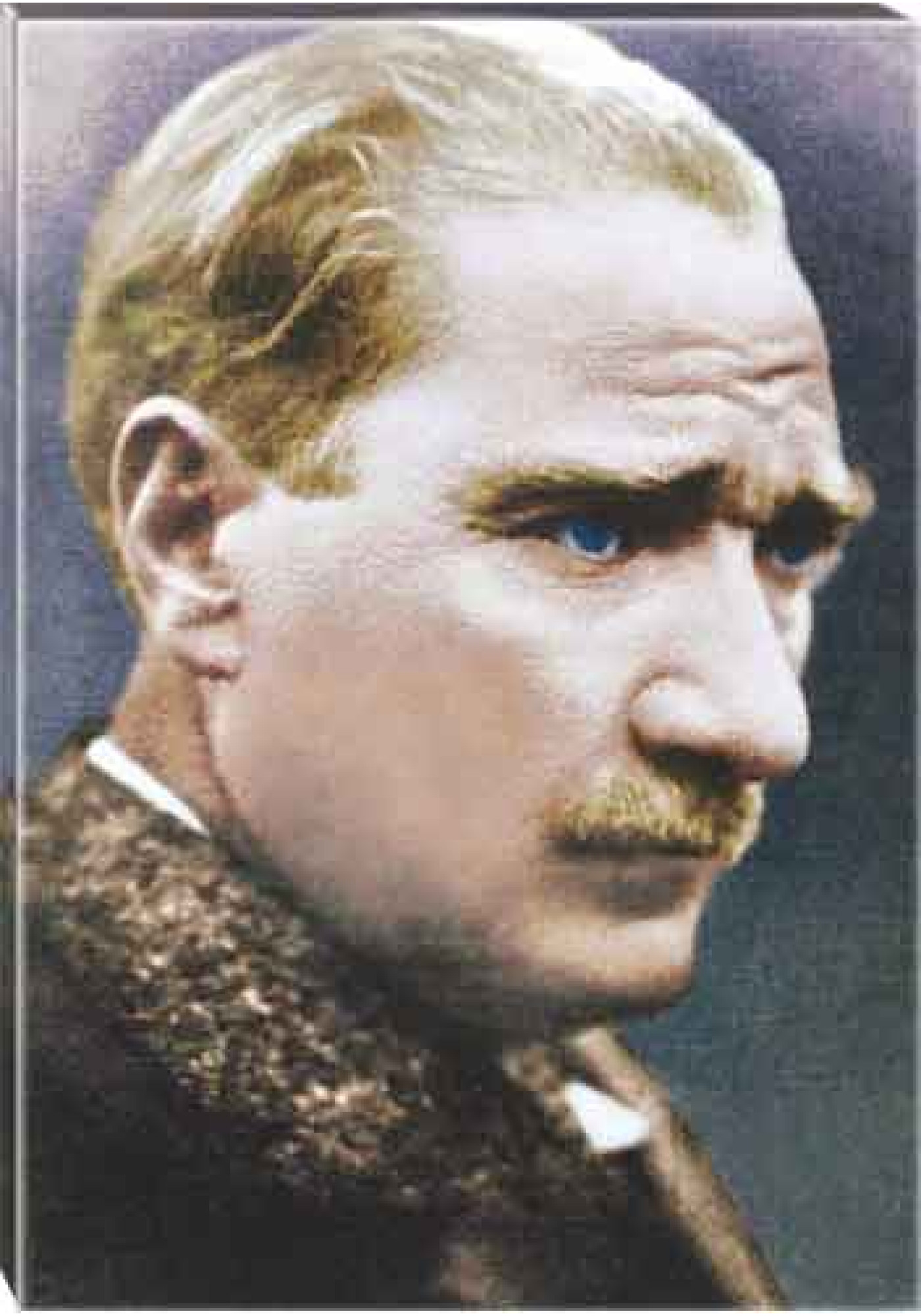 Atatürk Tablosu Kanvas - Sarışın Yandan Profil ATATRAP11D