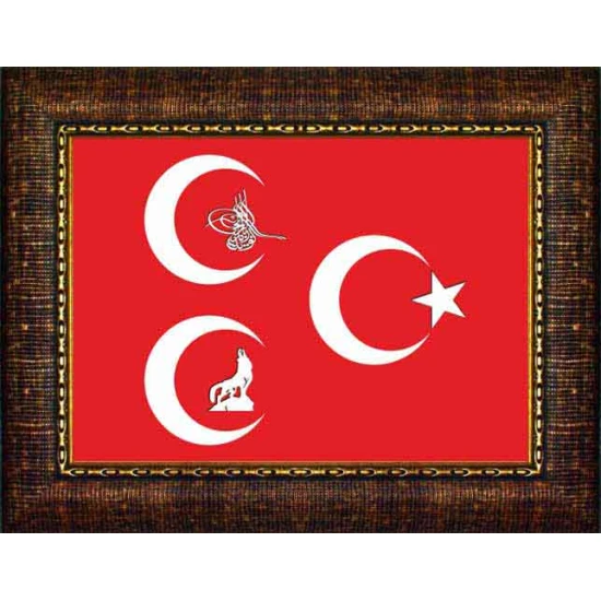 Bozkurt, Tuğra, Yıldızlı Üç Hilal Tablosu Çerçeveli MHPCR12USY