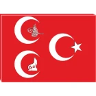 Bozkurt, Tuğra, Yıldızlı Üç Hilal Tablosu Kanvas MHPTR12USY