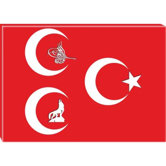 Bozkurt, Tuğra, Yıldızlı Üç Hilal Tablosu Kanvas MHPTR12USY