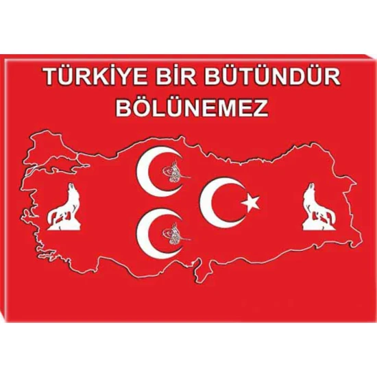Bozkurt, Tuğra, Yıldızlı Üç Hilal Tablosu Kanvas - Türkiye Haritası Üzerine, Türkiye Bölünemez Yazılı MHPTR13UTSY