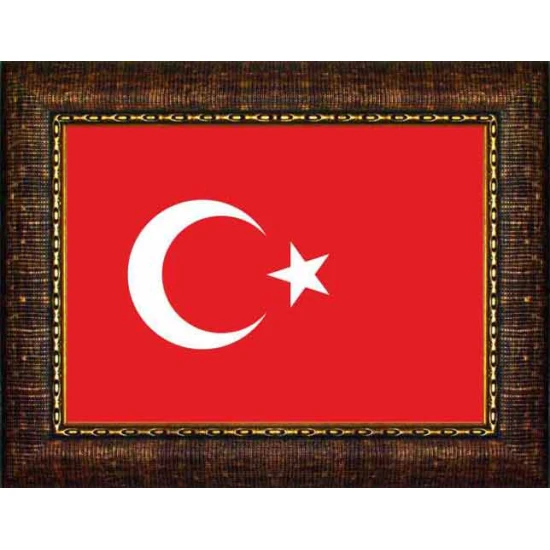 Türk Bayrağı Tablosu Çerçeveli ANICR01BRY