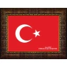 Türk Bayrağı Tablosu Çerçeveli ANICR01BRY