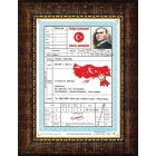 Türkiye Tapusu Tablosu Çerçeveli ANICR04TTD