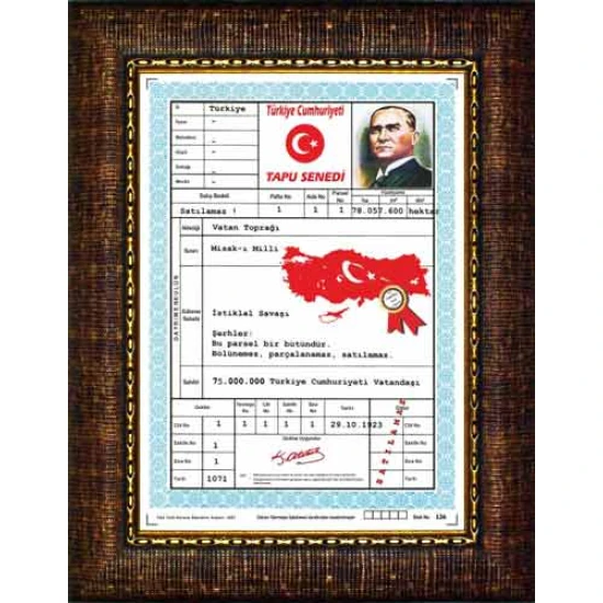Türkiye Tapusu Tablosu Çerçeveli ANICR04TTD