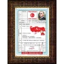 Türkiye Tapusu Tablosu Çerçeveli ANICR04TTD