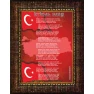 İstiklal Marşı Tablosu Çerçeveli ANICR12IMD