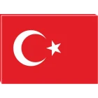 Türk Bayrağı Tablosu Kanvas ANITR01BRY