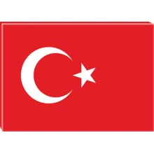 Türk Bayrağı Tablosu Kanvas ANITR01BRY