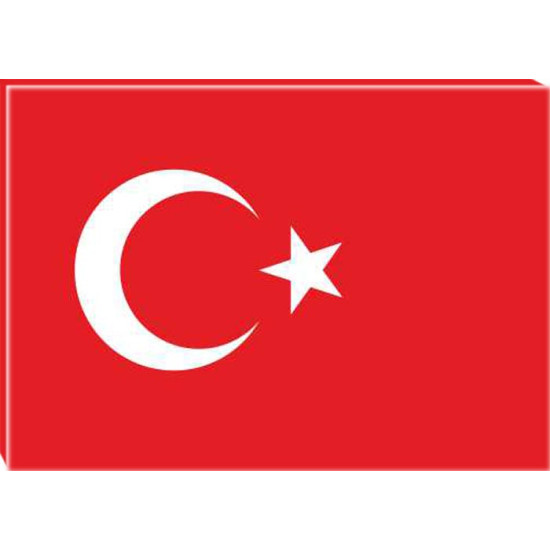 Anı Tablo Türk Bayrağı Tablosu Kanvas Anitr01bry